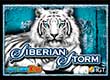 Up to $1000 + 100 Free Spins on Siberian Storm in WildTornado Casino